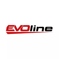 Двигатель бензиновый EVOline GB 750 EFI